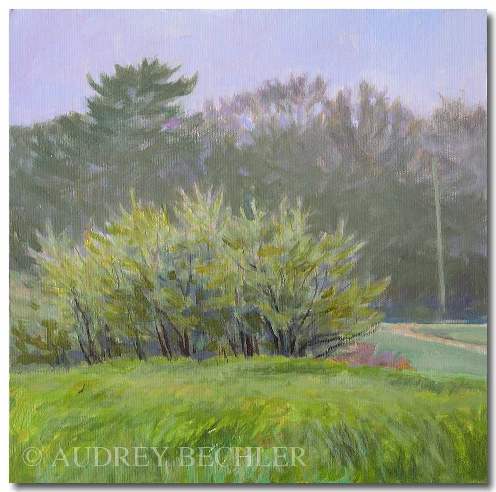 Flowering in Spring, Acrylic, Audrey Bechler Eugene, ME