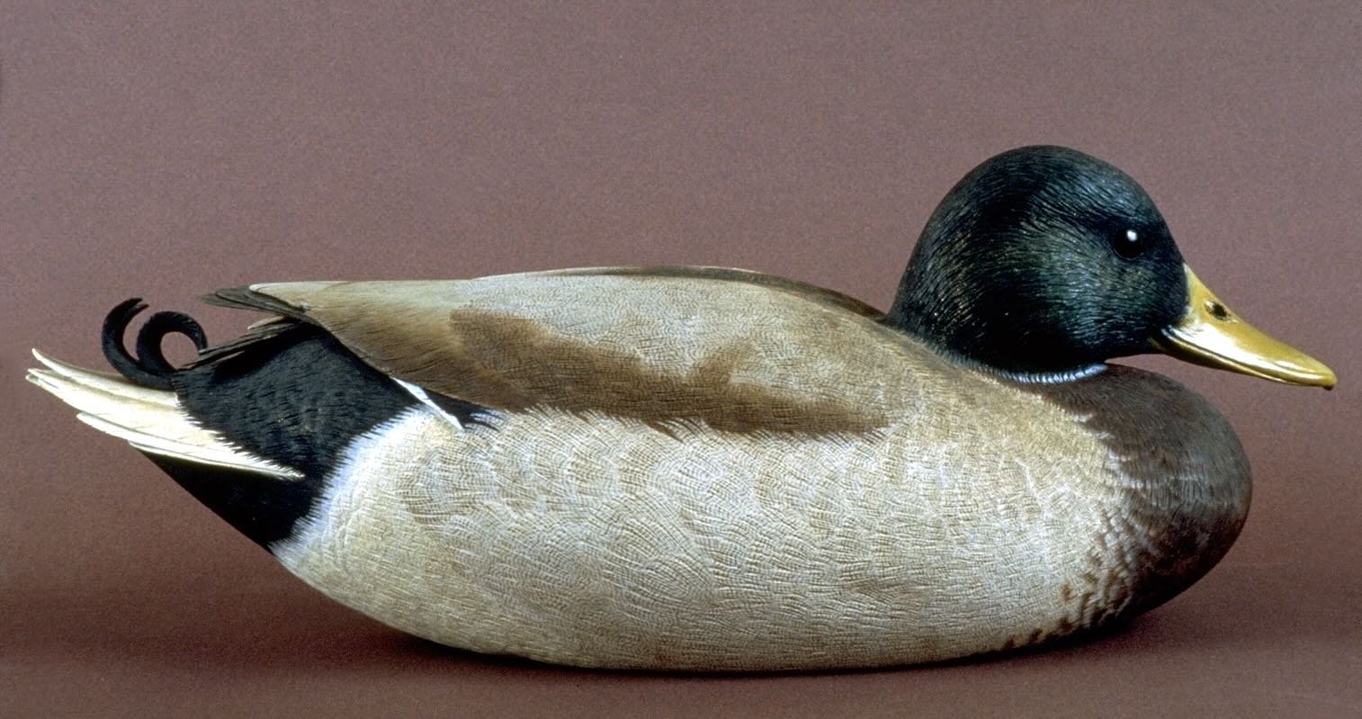 Carved Swimming Mallard Drake Decorative Decoy by Douglas Bechler